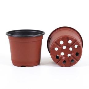 모종 이색 포트 화분(지름 8cm)