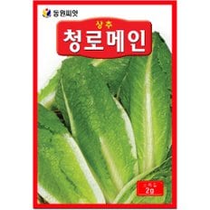  청로메인 상추씨앗 2g 쌈채소씨앗