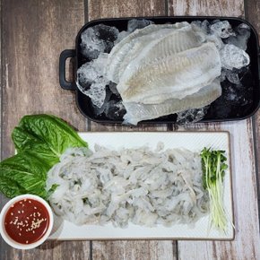 기름짐과 쫄깃함이  극강 국내산 통통 활 도다리 회 300g (푸드)
