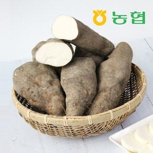친환경팔도 [북안동농협] 안동 산마 (상)5kg