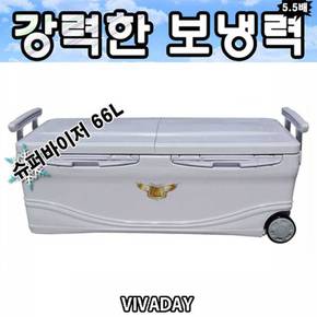 ST 행관슈퍼바이저 아이스박스 쿨백 보냉 66L