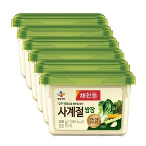 해찬들 쌈장 사계절쌈장 500g 6개