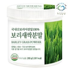 국내산 새싹보리 100% 보리새싹 분말 가루 haccp 인증 280gx1통