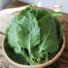  용천 유기농 케일 800g