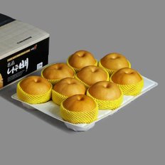 나주배 실속세트 7.5kg (7-10과)