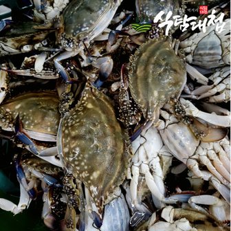  대한민국전통시장 연평도 산 숫꽃게 3kg (9-18미)급냉