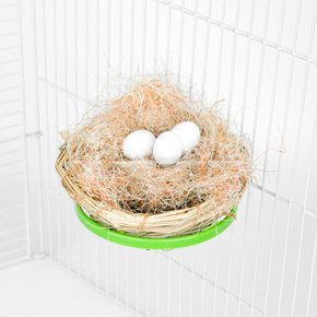 앵무새 둥지걸이 비비드 칼라 플라스틱 둥지 받침대 거치대 용품
