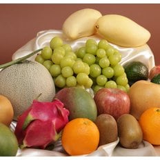온세담 [다다팜] 프리미엄 혼합과일9종세트2호5.0kg(사과/배/애플망고/오렌지/태국망고/아보카도/샤인머스켓/메론/용과)