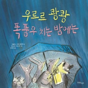 우르르 쾅쾅 폭풍우 치는 밤에는 양장_P324185708