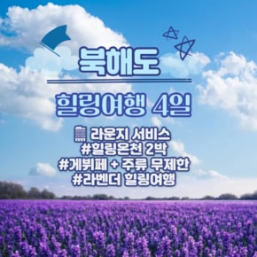 북해도 힐링여행 4일  황금나무와 여행친구들