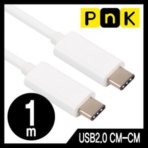 PnK CM-CM 케이블 Type USB C P031A USB2.0 1m