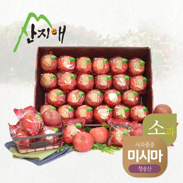 씻어나온 어린이 꿀사과 5kg 1box / 청송산 미시마, 당도선별
