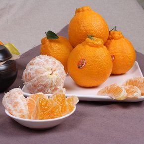 [대진작목반] 제주 한라봉 선물세트 3kg(11-13과)/ 실중량