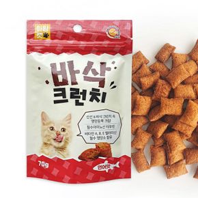 고양이 반려묘 간식 스낵 크런치 연어맛 70g (WA62556)