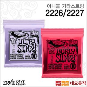 어니볼 일렉 기타스트링 Ernieball 2226 / 2227 /6 현