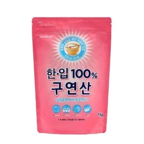 원룸살림 한입 100 % 구연산 1kg