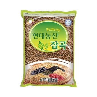 현대농산 갈색렌틸콩 1kg 렌즈콩