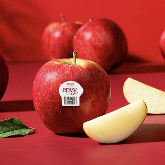 감동 엔비사과 소과 5kg 24-30과 팬시(가정용)