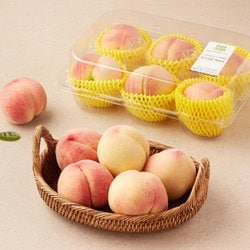 부드러운 복숭아 1.25kg 내외 (4~6입)/팩