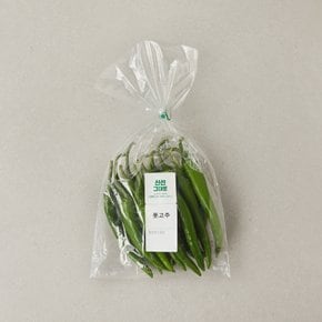 풋고추 (150g)