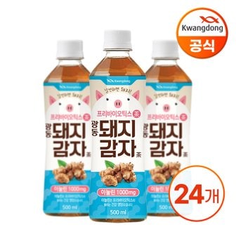  광동 돼지감자차 500ml x 24병