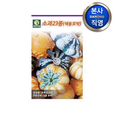 색동 호박 (소과23종) 씨앗 10립 . 야채 채소 텃밭 재배 파종 씨 종자