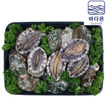 바다온 완도활전복 프리미엄 최고급선물세트 B-2호 [25마리/마리당125g내외]