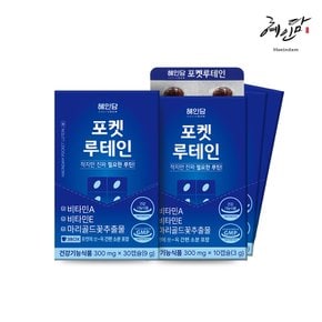 포켓 루테인 300mg*30캡슐