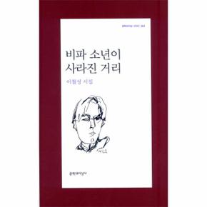 비파소년이 사라진 거리   363  문학과 지성 시인선 _P069110175