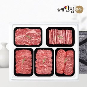 [농협안심한우] 1등급 한우 선물세트 구이4호 2kg (등/갈/부/치/살)