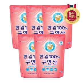 한.입 100% 구연산 1kg x5개_표백제