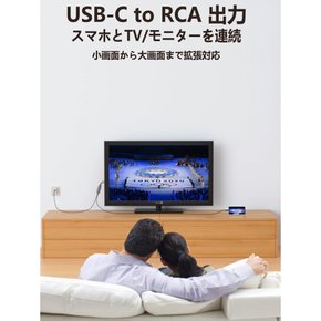 USB C to RCA 3RCAAV Type-c to AV USB-C 1080P Android USB 변환 케이블 변환 케이블 카