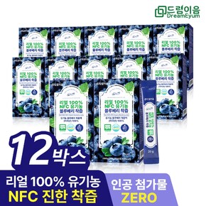 드림이음 리얼 100 NFC 유기농 블루베리 즙 착즙 미국산 원액 스틱 14포 12박스