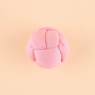  딩독 딸랑 빅 볼