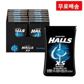 호올스 XS 멘토립터스 15g 12입 X 2 멘톨향 목캔디 사탕 캔디 간식