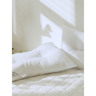 루시드슬립 1+1 국내산 지퍼형 항균 새솜 스탠다드 경추 베개솜 40x60/50x70