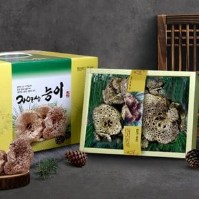 [송림山속] 강원도 자연산 능이버섯 1kg/8~15뿌리/냉동