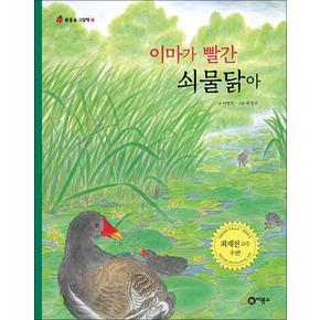 이마가 빨간 쇠물닭아 (물들숲 그림책 17) (양장)