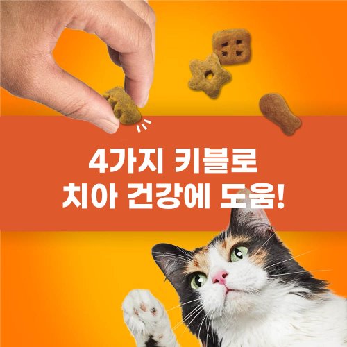 추가이미지