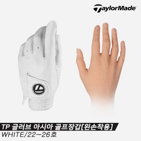 [테일러메이드정품] 2023 TP 글러브(TP GLOVE) 양피 골프장갑 [남성용][TA-859]