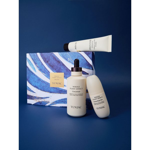 전초 스페셜 세트