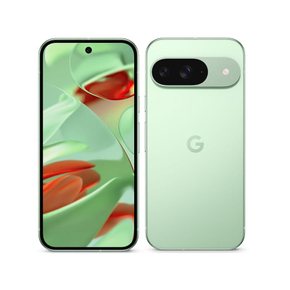 Google Pixel 9 128GB 심프리- Wintergreen * 스마트폰 본체