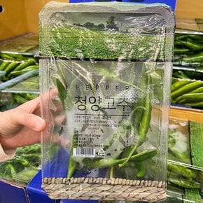 트레이더스 청양고추 1팩