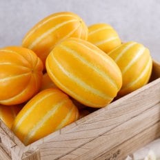 다농이네 달콤한 성주 참외 3kg (6-9과) 대과