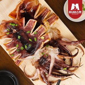 촉촉한 반건조 오징어(중) 5미 450g 내외