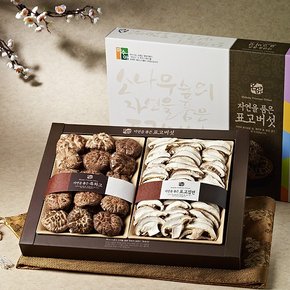 국내산 표고버섯 혼합 선물세트 1호 350g [흑화고+표고절편]
