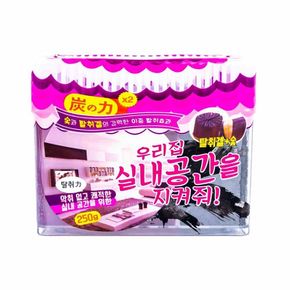 숯의 힘 우리집 실내공간을 지켜줘 탈취 숯 250g