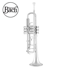 바하 Bb트럼펫 BTR311S 바흐트럼펫 BACH 트롬펫 실버 학생용 입문자용 스튜던트