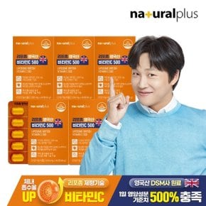 내츄럴플러스 리포좀 영국산 비타민C 500 60정 5박스(10개월분) / 리포조말 비타민씨