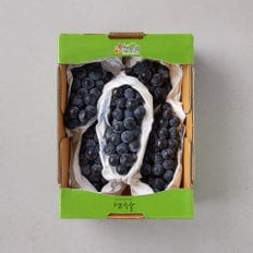 지리산 흥부골 포도 1.5kg/박스